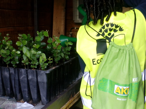 A Brigada Verde da Floresta tem feito um acompanhamento semanal das plantas, nomeadamente a rega.